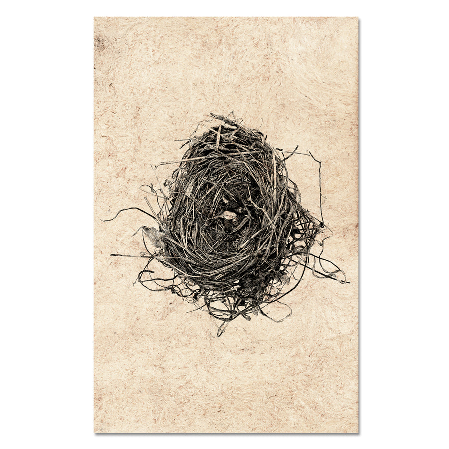 Nest Study #8