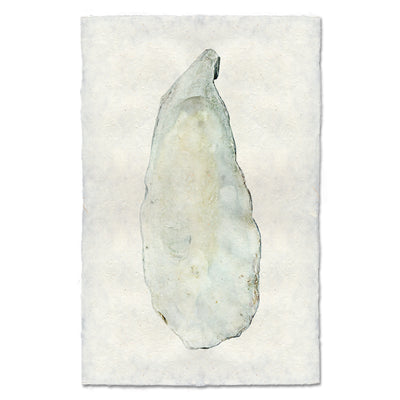 Oyster Study #9