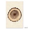 Oak grand format