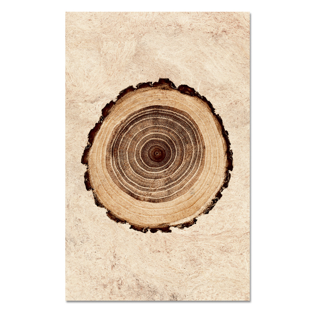 Kozo Amate Tree Rings
