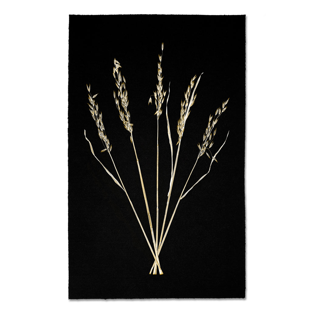 Kozo Noire Natural Forms