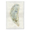 Oyster Study #5