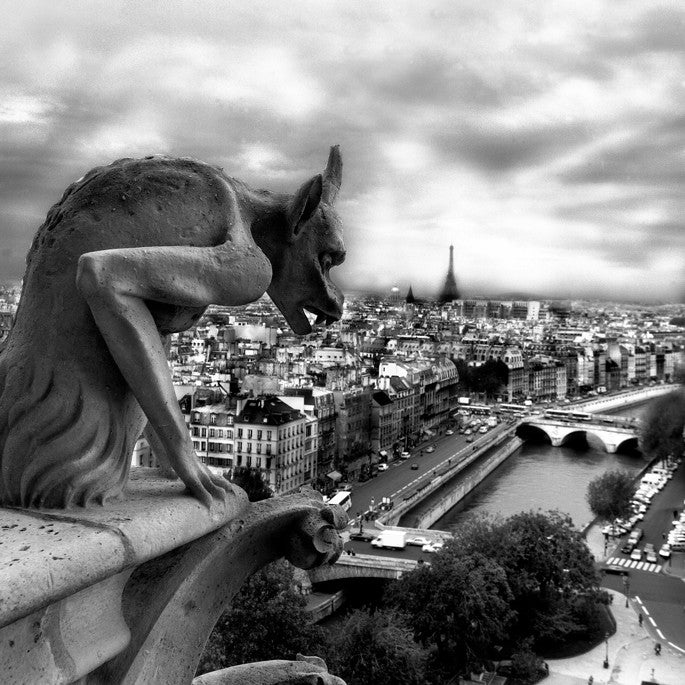 Paris View from Notre Dame- Paris, France