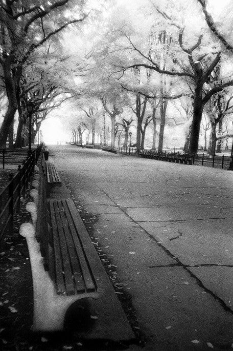 Poet's Walk - Central Park, NY