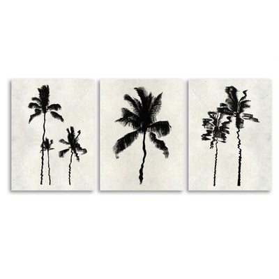 Palm Reflections Trilogy