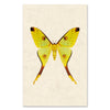 Papilionoidea #1 grand format
