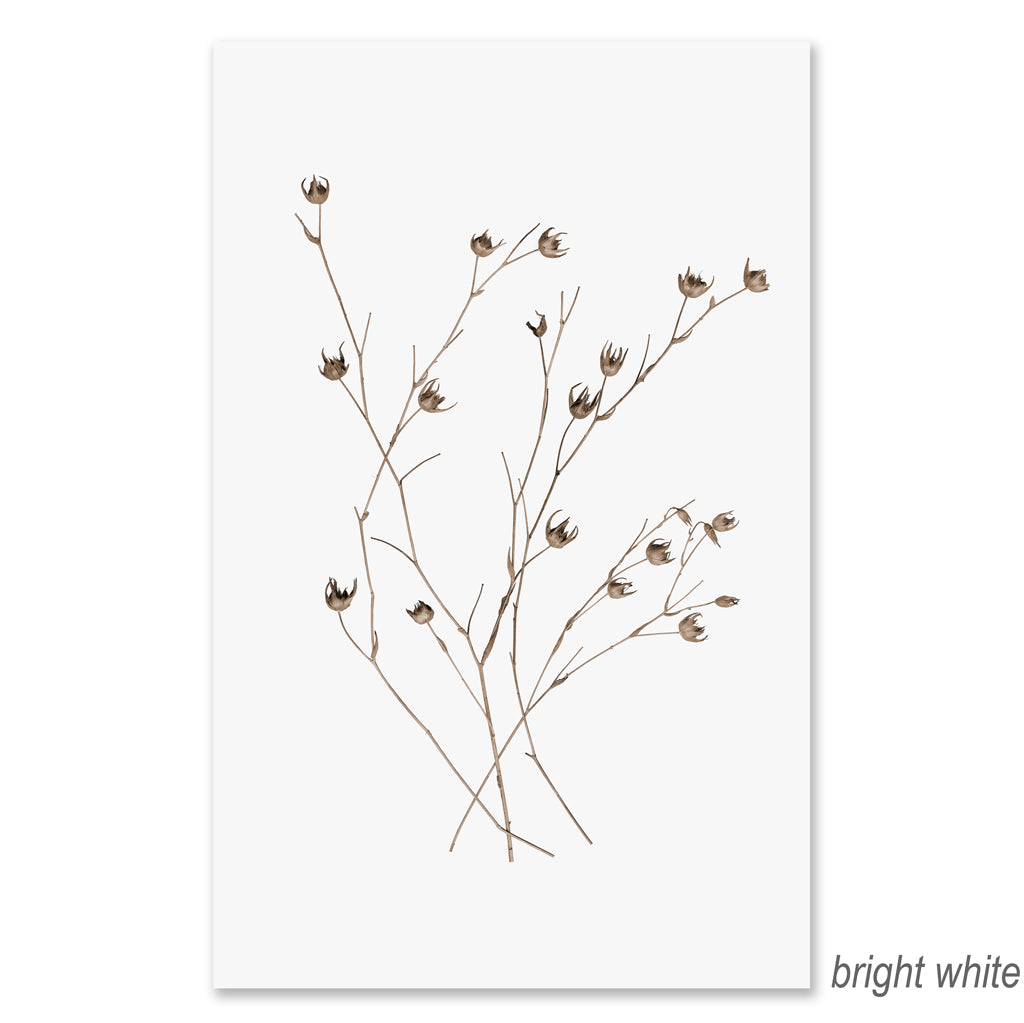 Petal Form grand format