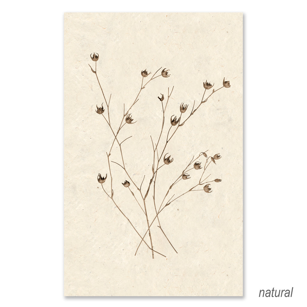 Petal Form grand format