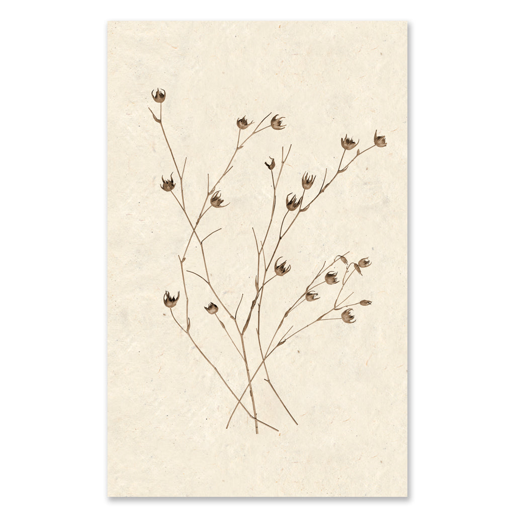 Petal Form grand format