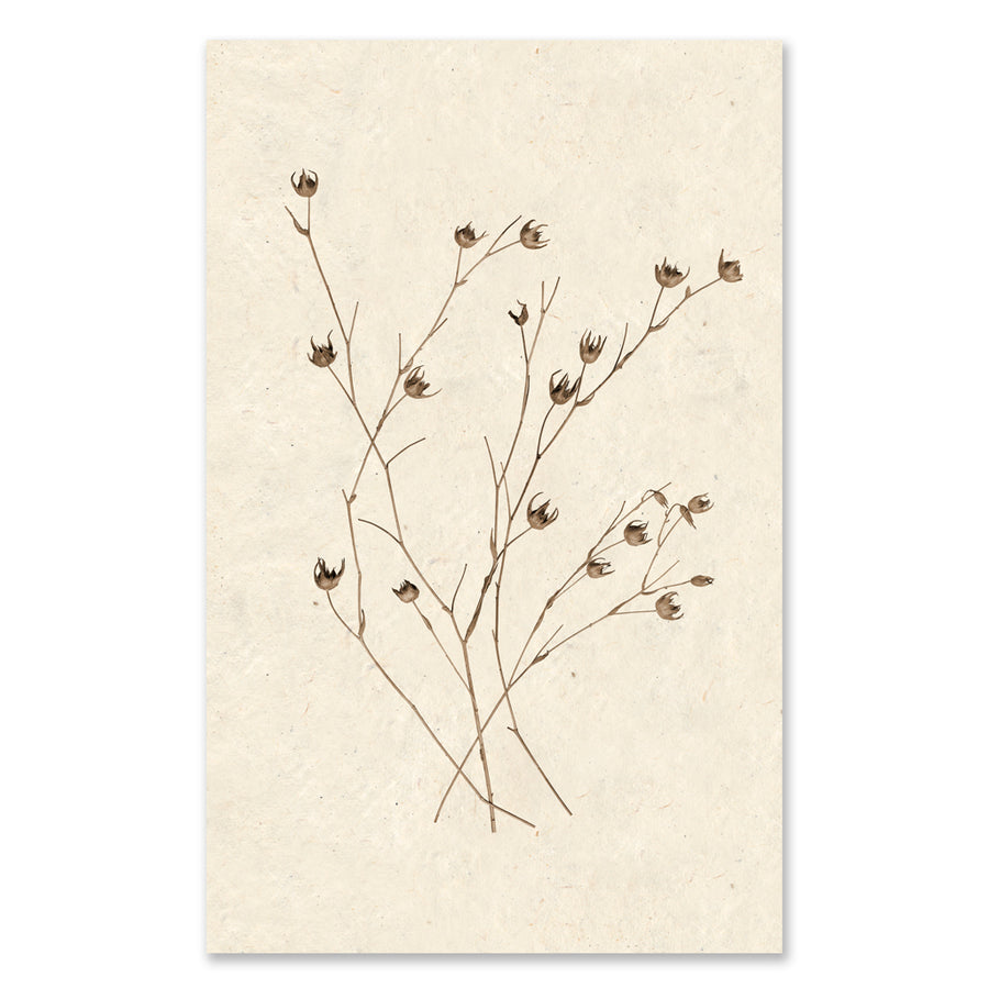 Petal Form grand format