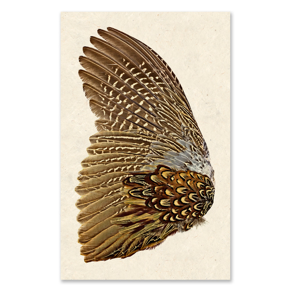 Grand Format Prints — BARLOGA STUDIOS- fine photographs on intriguing ...