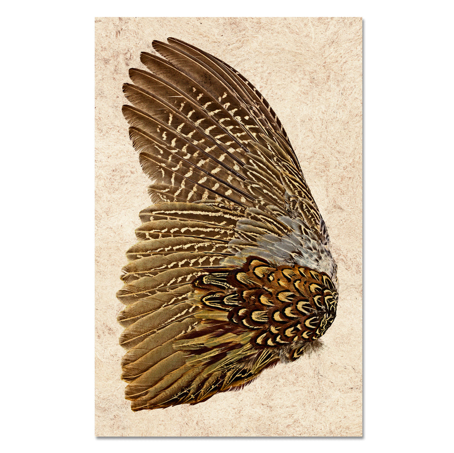 Ring Neck Pheasant (left) Kozo Amate Paper grand format