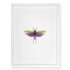 Purple Grasshopper - standard (20x30) / English watercolor / white on white shadowbox