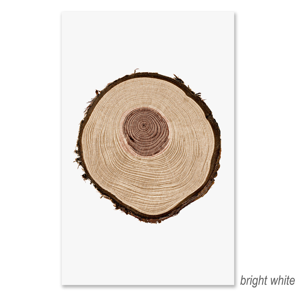 Redwood grand format