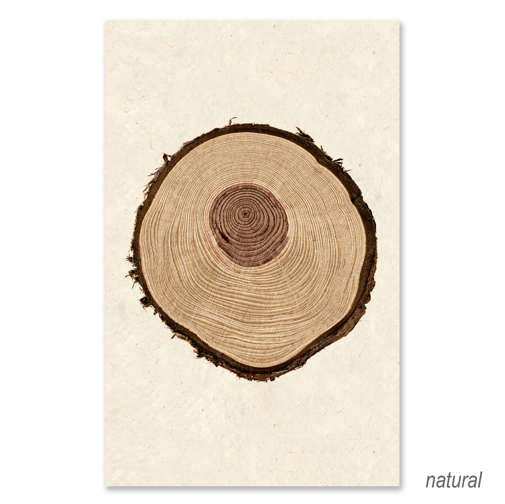 Redwood grand format