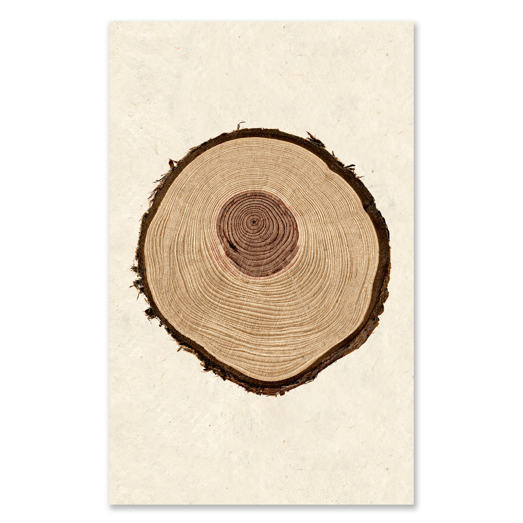 Redwood grand format