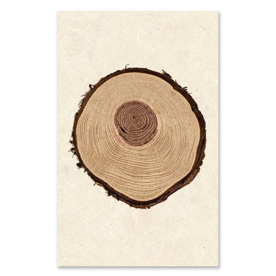 Redwood grand format