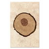 Redwood Tree ring