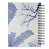 Sea Fan Journal