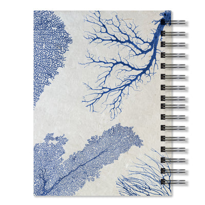 Sea Fan Journal