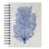 Sea Fan Journal