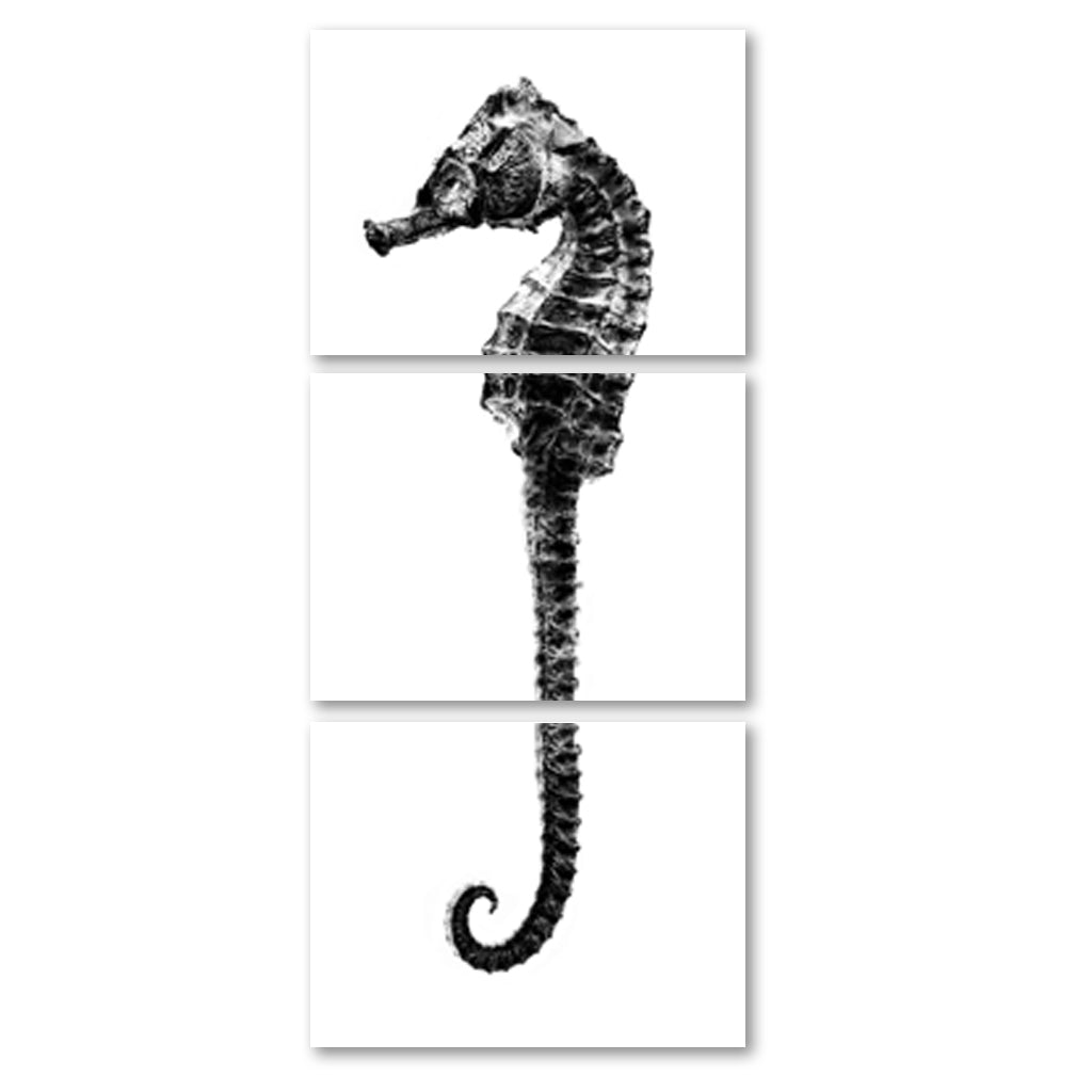 Sea Horse #2 trilogy