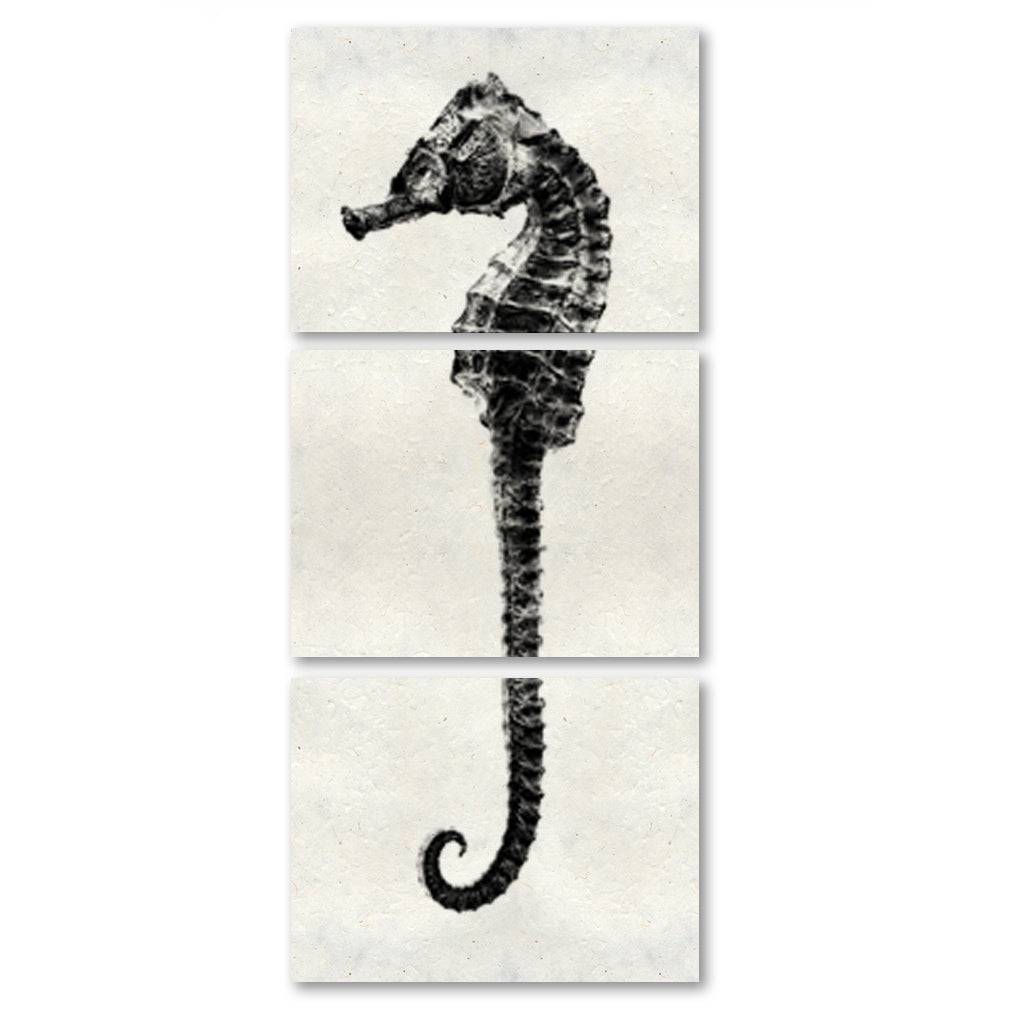 Sea Horse #2 trilogy