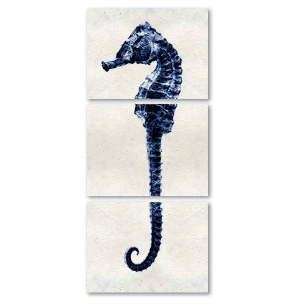 Sea Horse #2 trilogy