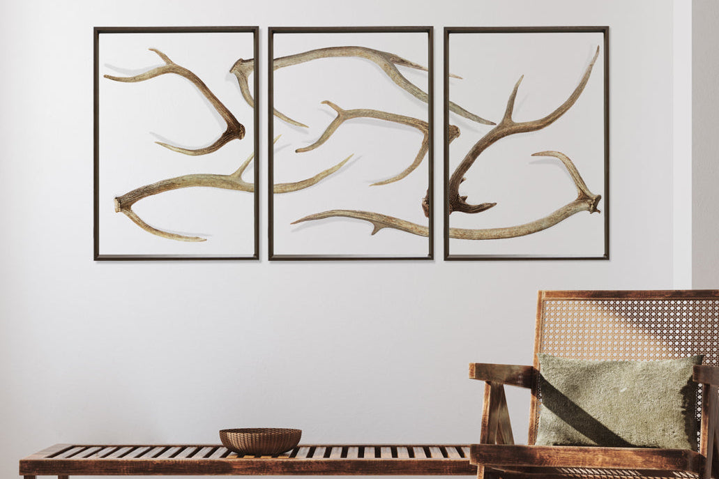Sheds Triptych