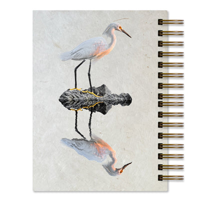 Shorebirds Journal