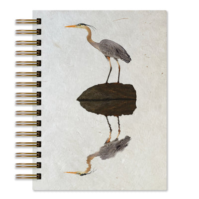Shorebirds Journal