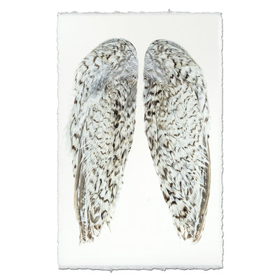 Snowflake Quail Wings