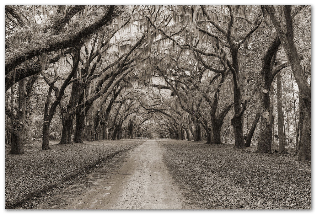 Southern Oaks - Savannah, GA