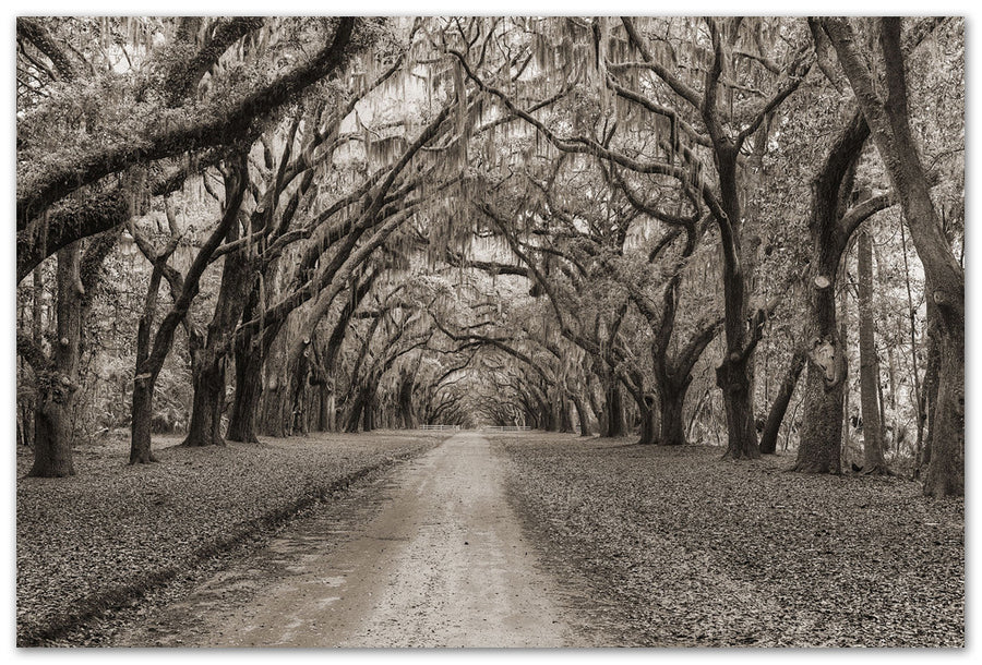 Southern Oaks - Savannah, GA