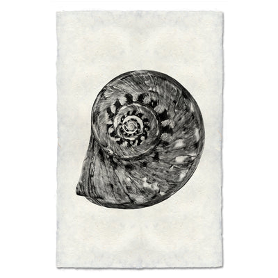 Spiral
