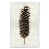 Sugar Pine Cone