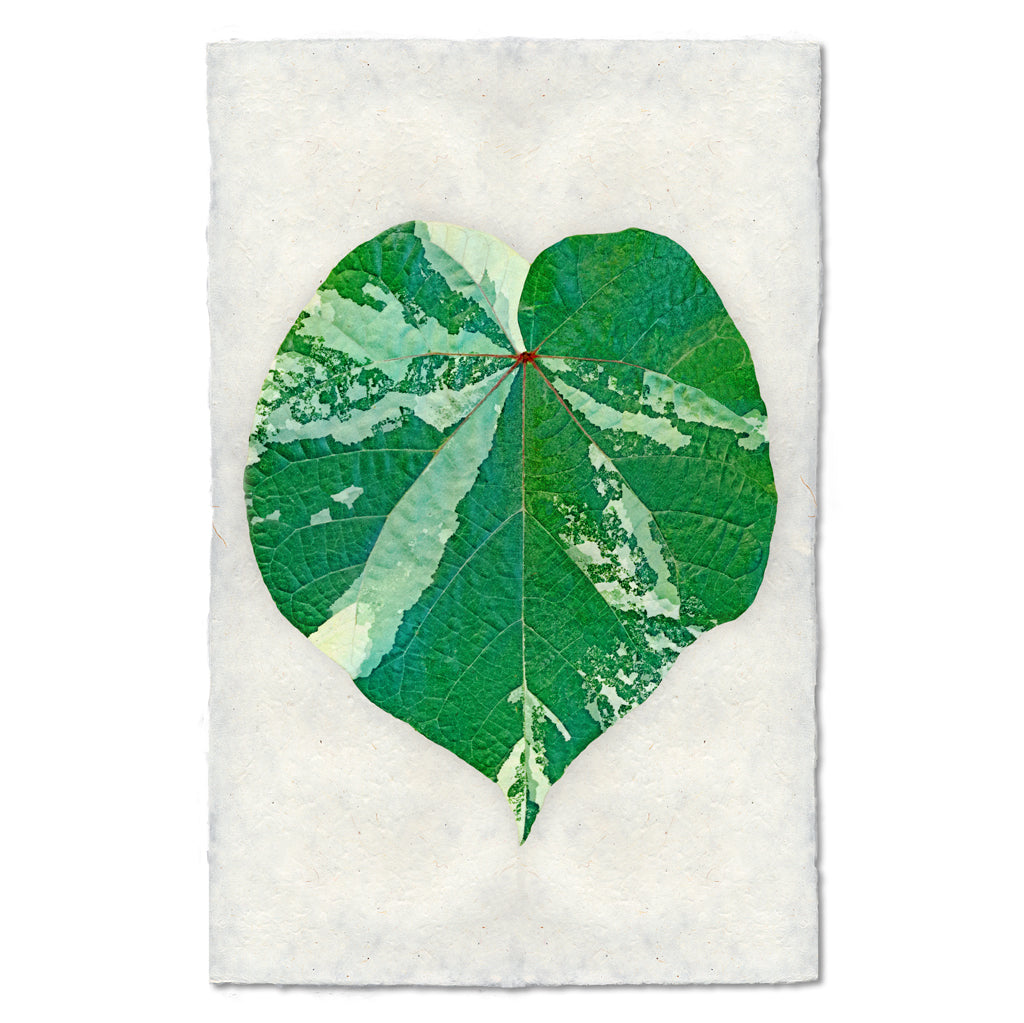 Tropical Leaf #4