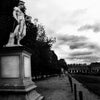 Tuilleries Statue - Paris France