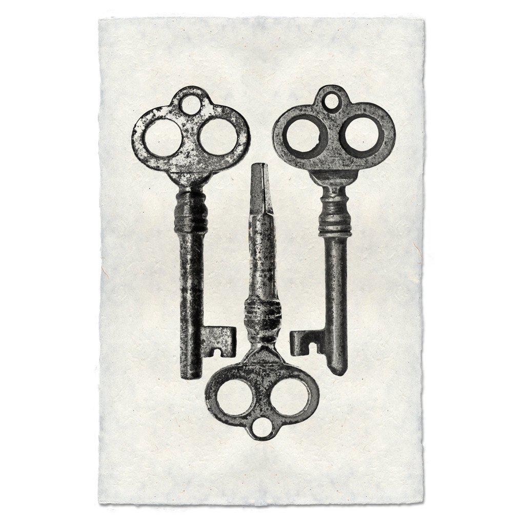 Key Study #6