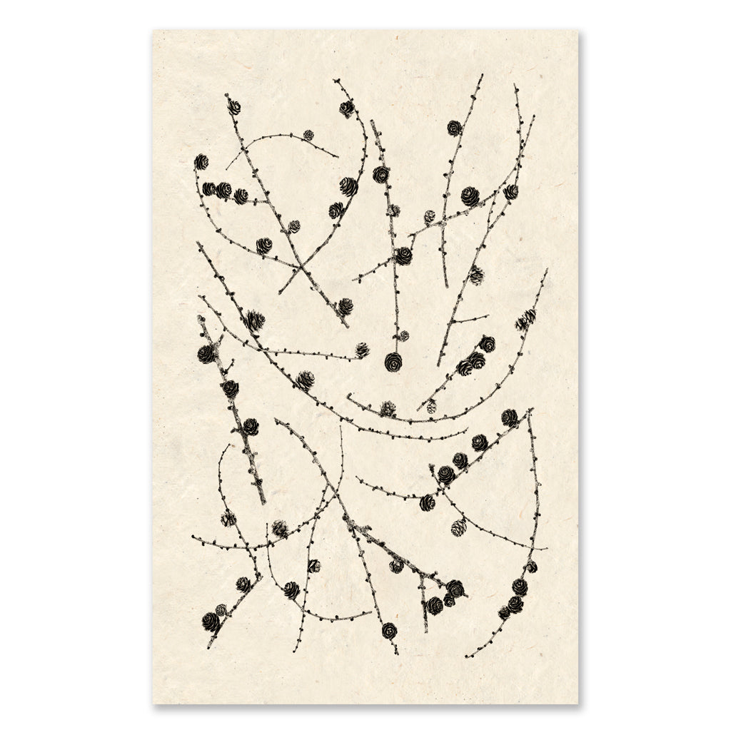 Twigs and Cones grand format