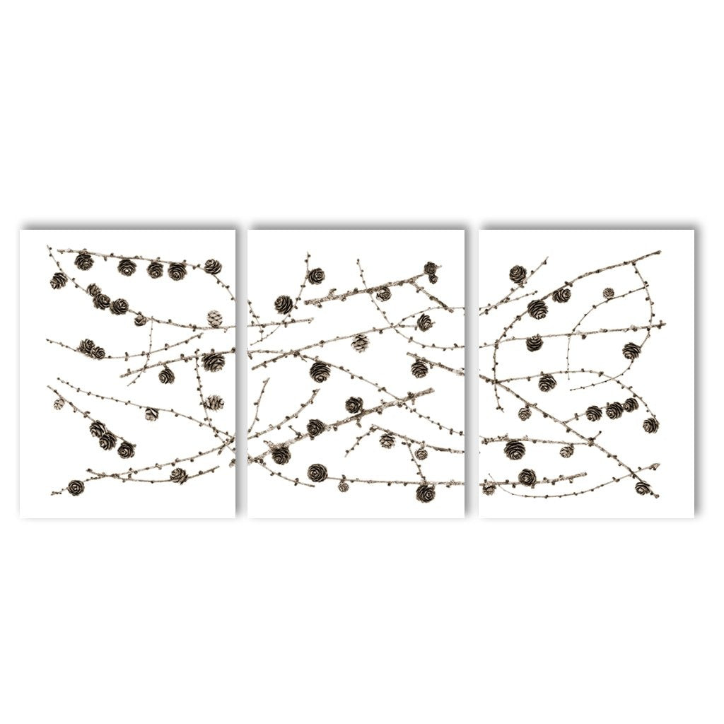 Twigs and Cones Trilogy