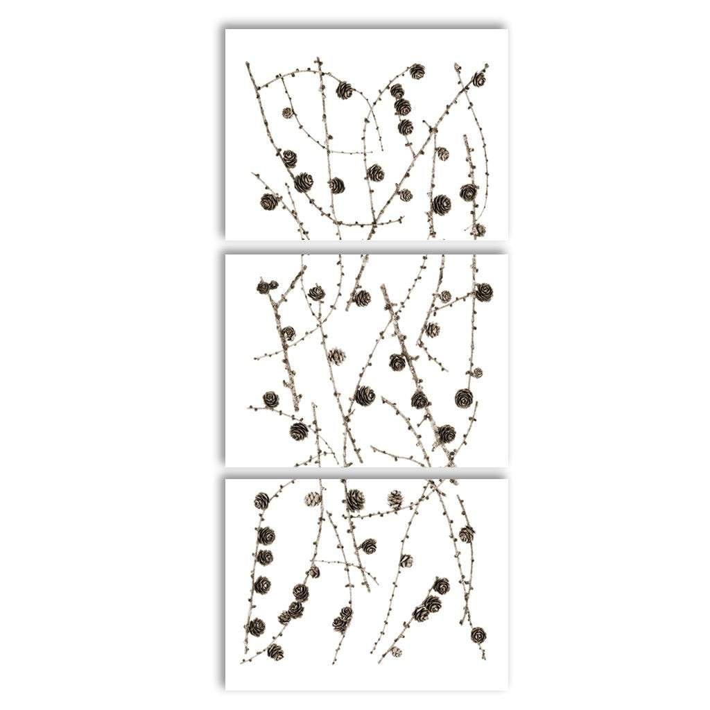 Twigs and Cones Trilogy