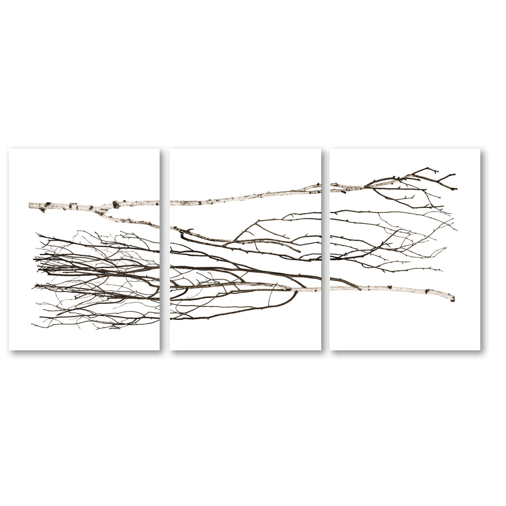 Two Birches Trilogy