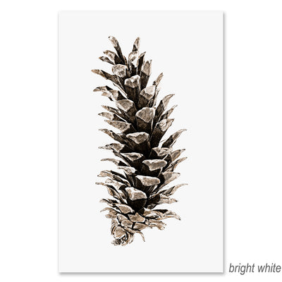 Western White Pine grand format