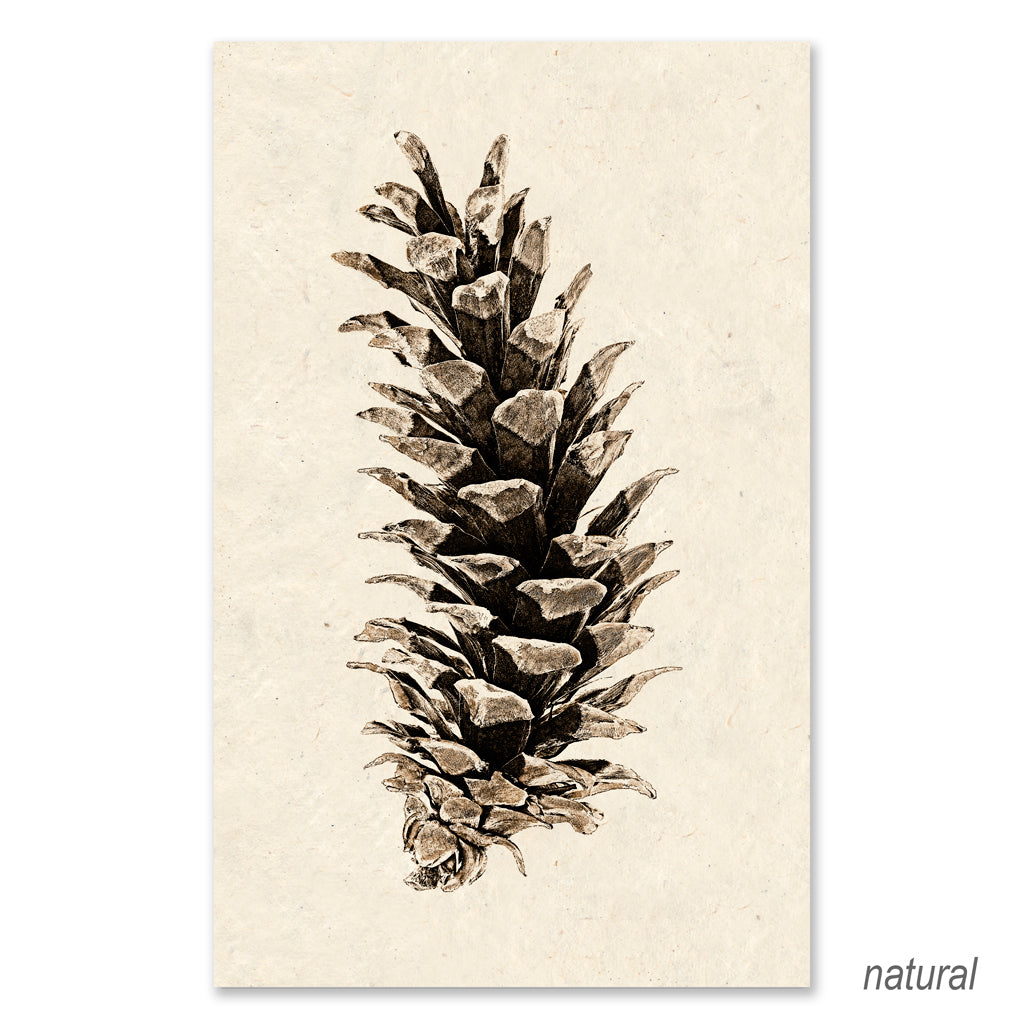 Western White Pine grand format