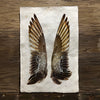 Gadwall Duck Wings (Amate Perla)
