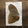Ring Neck Pheasant (Left) (Amate Perla)