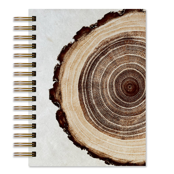 Tree Rings - BARLOGA STUDIOS- fine photographs on intriguing papers