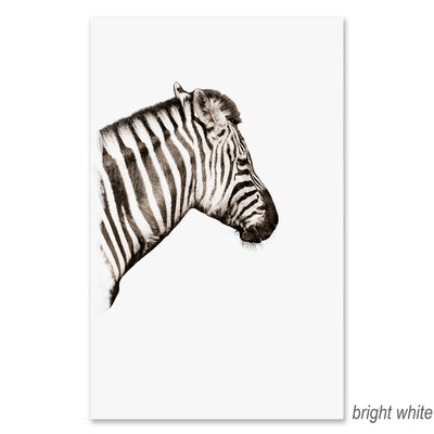 Zebra GRAND FORMAT