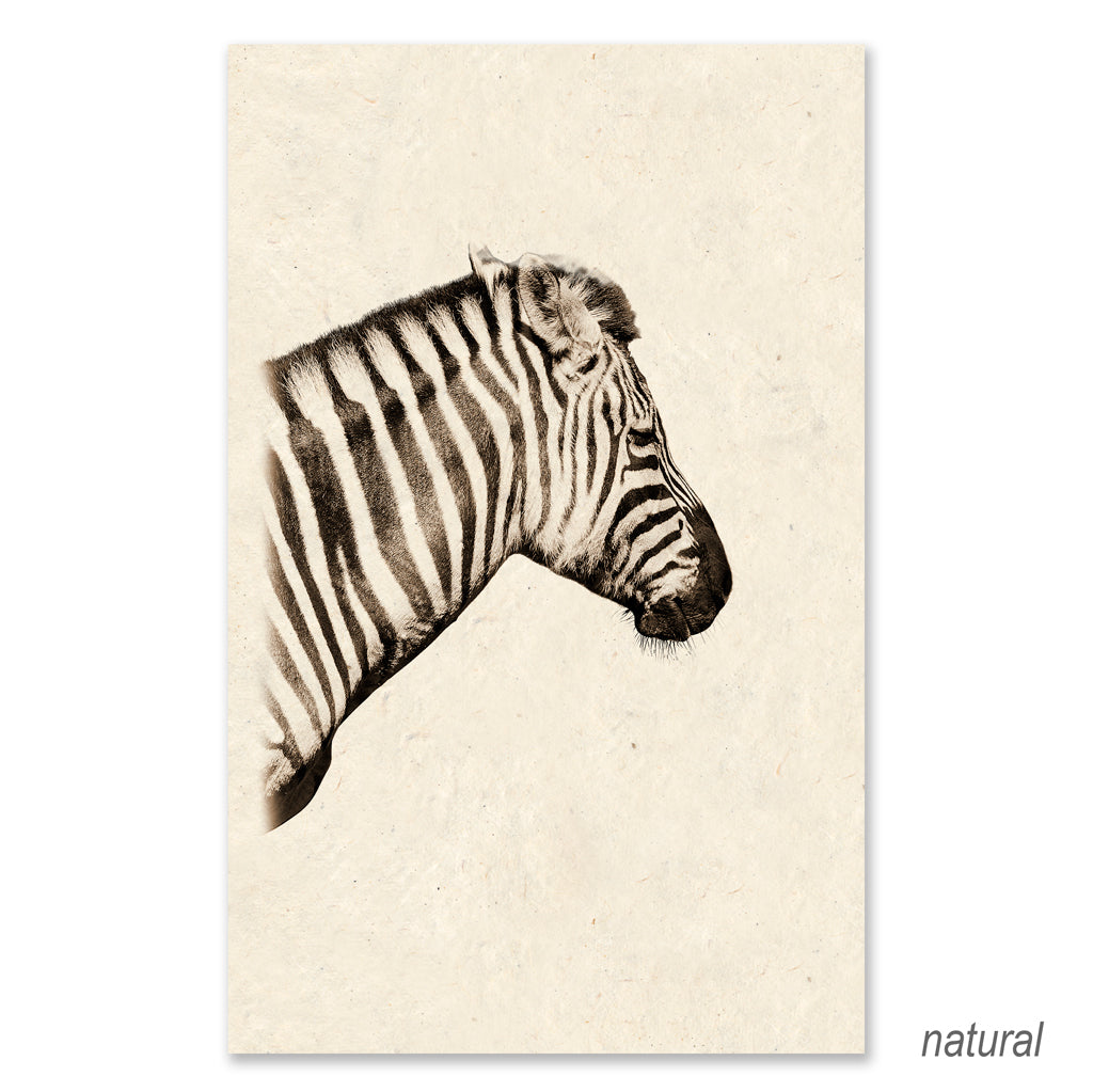 Zebra GRAND FORMAT